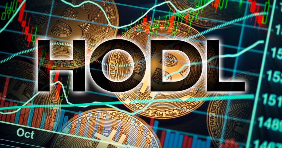 what is hodling bitcoin