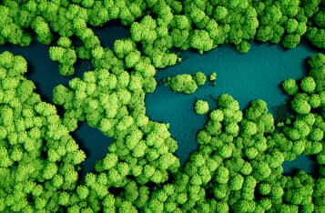 Racing to Save the Planet: The Role of Blockchain in Sustainability