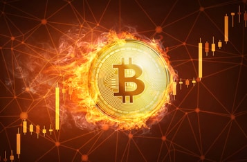 Canaan Inc. Submits 2024 Annual Report to SEC