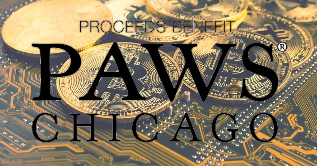 No-Kill Animal Organization PAWS Chicago Launches "Dogenations", Accepting Crypto Donations