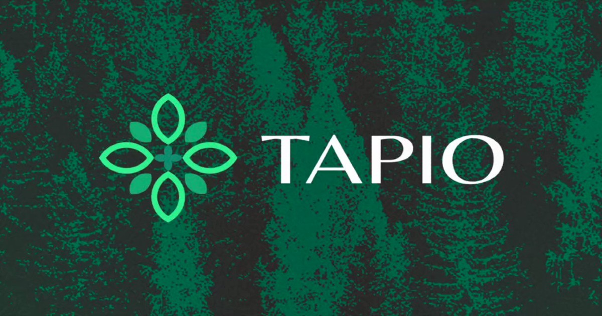 Polkadot Synthetic Asset Protocol Tapio Acquires m in Funding
