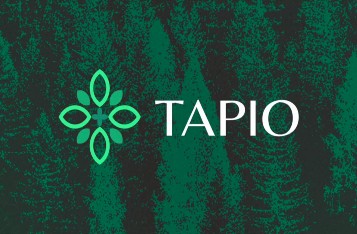 Polkadot Synthetic Asset Protocol Tapio Acquires $4m in Funding