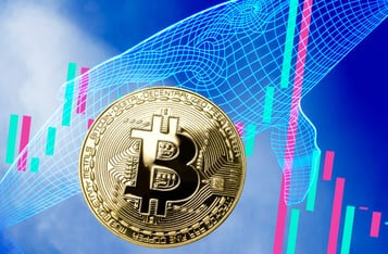 Bitcoin Whale Addresses at an All Time High as Major Indicators Suggest Bullish Outlook for BTC