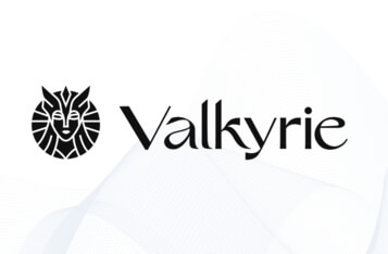 Valkyrie's Two Crypto-focused Trusts Raise $73.6m