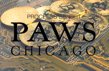 No-Kill Animal Organization PAWS Chicago Launches "Dogenations", Accepting Crypto Donations