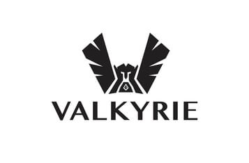 The US SEC Asks Valkyrie to Withdrawal Its Leveraged Bitcoin Futures ETF
