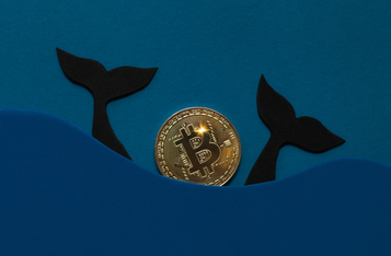 ‘Millionaire’ Bitcoin Whales Accumulates Extra 90,000 BTC