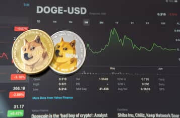 Transactions Worth over $100K Escalate on the Dogecoin Network after Elon Musk's Acquisition of Twitter