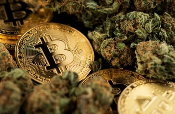 Crypto Latest Updates: Why Coldware, Dogecoin or Vechain Could Generate Next Wave Of Millionaires